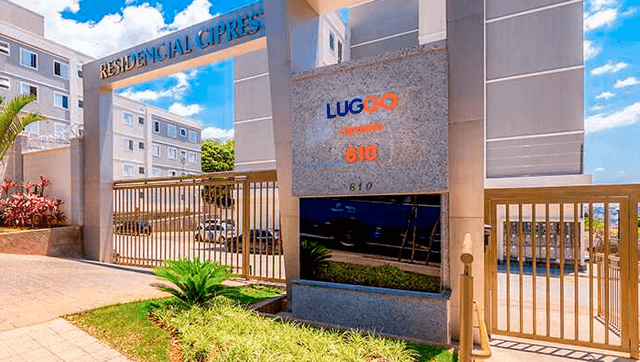 luggo-cipreste